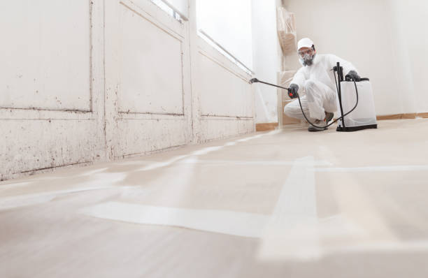 24/7 Emergency Basement Mold Remediation experts in Garfield, NJ